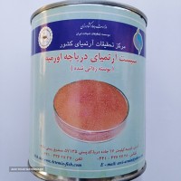 سیست آرتمیا