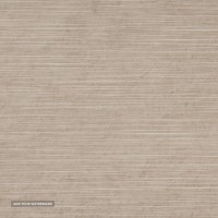 Limestone Crema - Lineal Design
